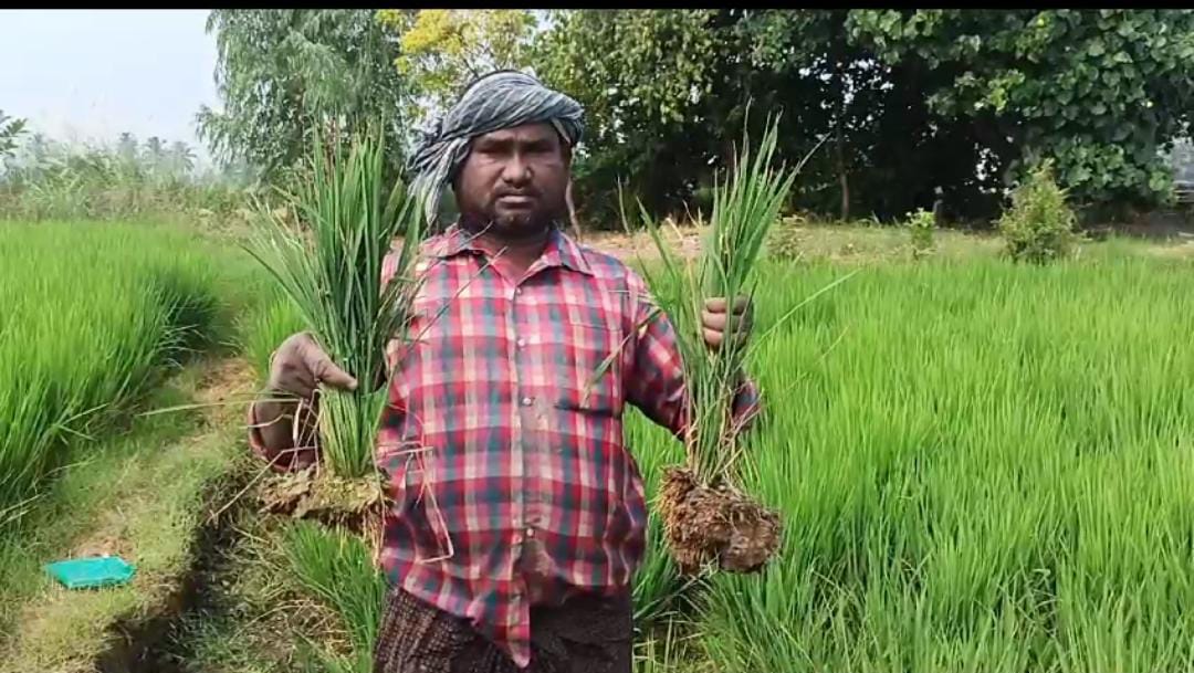 అమ్మేస్తున్న కరువు మేఘాలు.